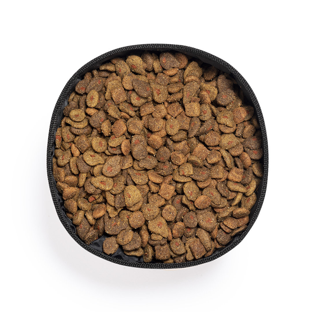 Bowl plegable personalizado Poppy de papel reciclado con interior RPET