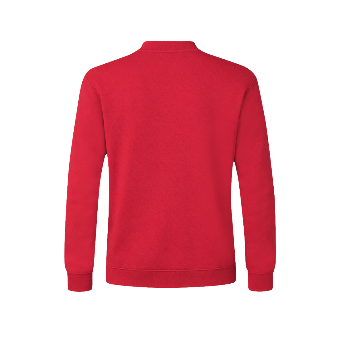 Sudadera adulto personalizada Sendex de algodón orgánico y RPET - Sudaderas personalizadas - Regalo Promocional Personalizado - imagen 3