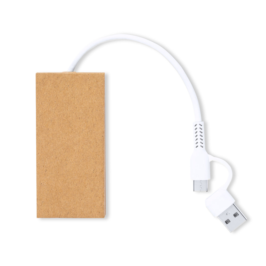 Puerto USB personalizado Hasgar de cartón reciclado