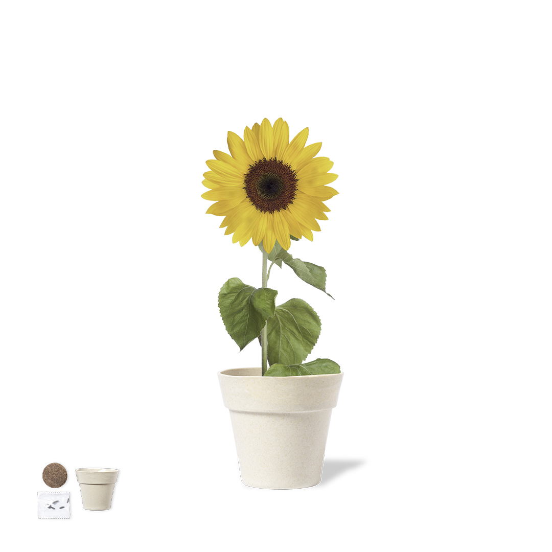 Maceta personalizada Tumil de girasol biodegradable - Jardín - Regalo Promocional Personalizado