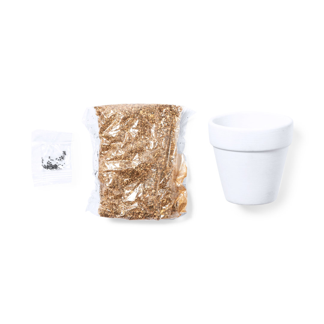 Maceta personalizada Konte de cactus con terracota blanca