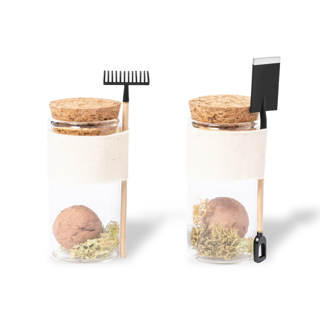 Bombón de semillas personalizado Winsu con bote de cristal y corcho