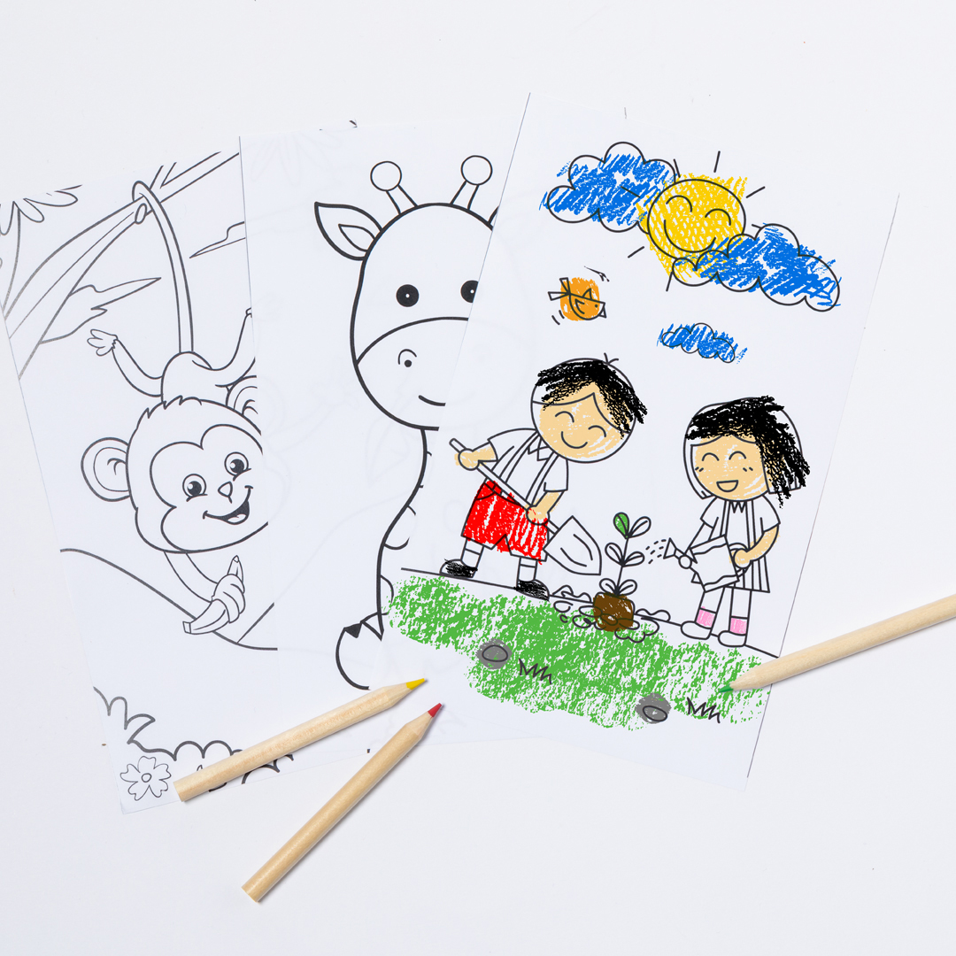 Set personalizado Clumber para colorear de cartón reciclado