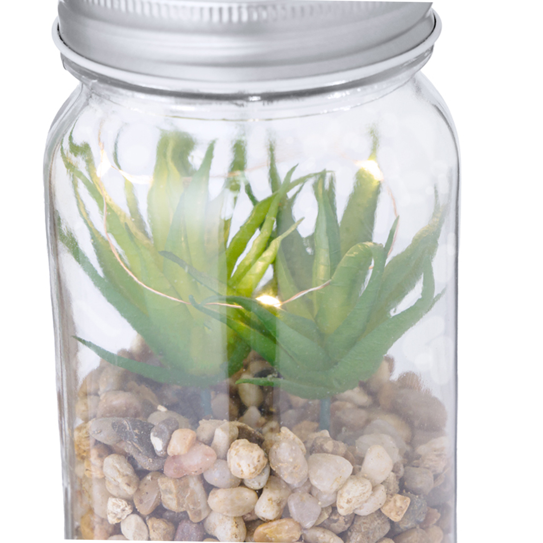 Planta decorativa personalizada Kyala con iluminación LED en tarro borosilicato - Jardín - Regalo Promocional Personalizado - imagen 3