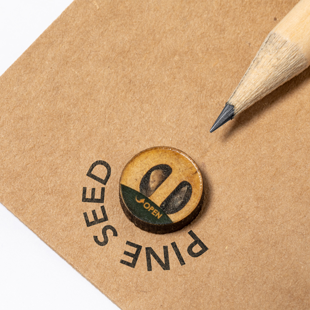 Lápiz semillas personalizado Etesio de madera con semillas de pino - Oficina - Regalo Promocional Personalizado - imagen 3