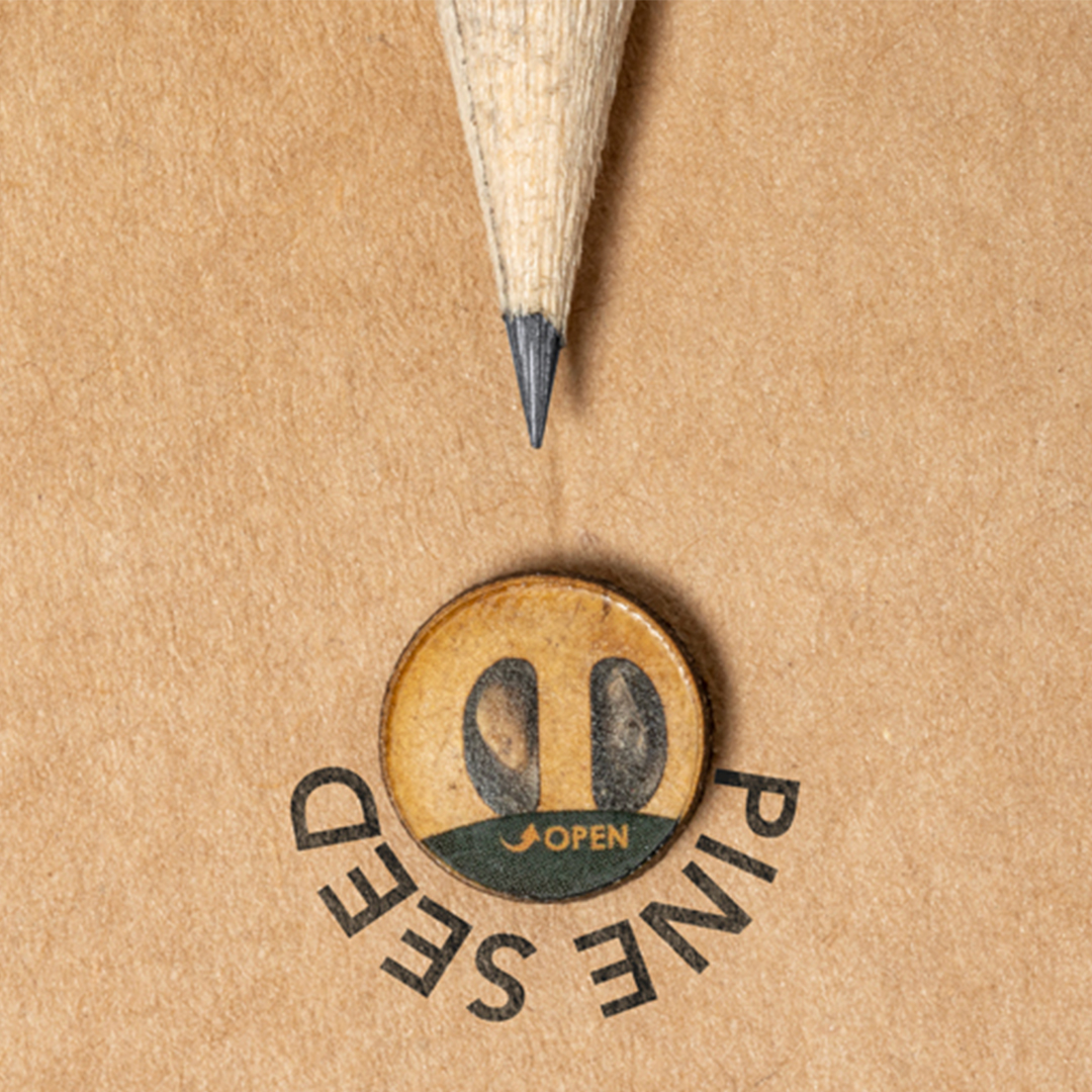 Lápiz semillas personalizado Etesio de madera con semillas de pino - Oficina - Regalo Promocional Personalizado - imagen 4