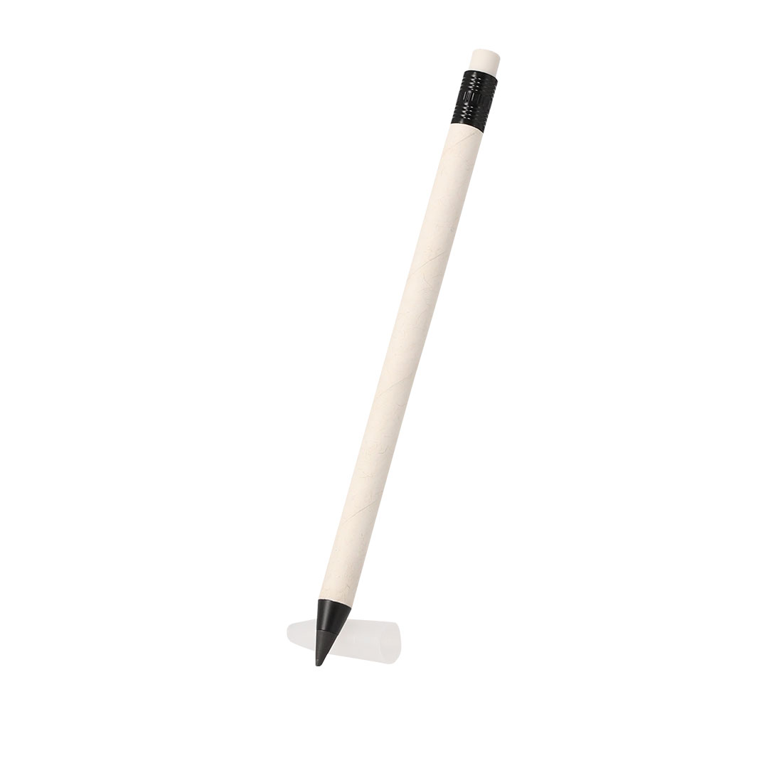 Lápiz eterno personalizado Stauton de cartones de leche con semillas