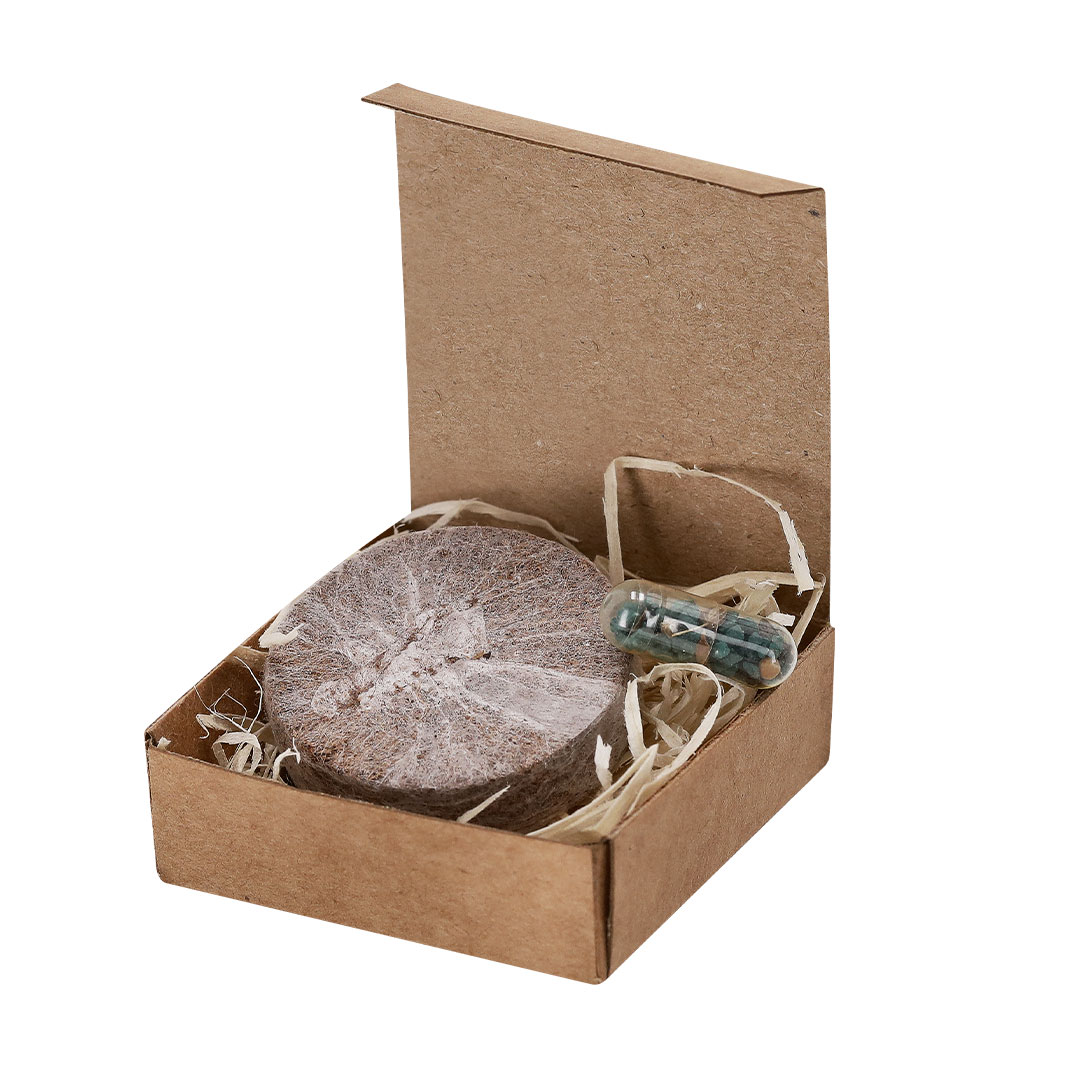 Pack Plantable Aquael - Jardín - Regalo Promocional Personalizado