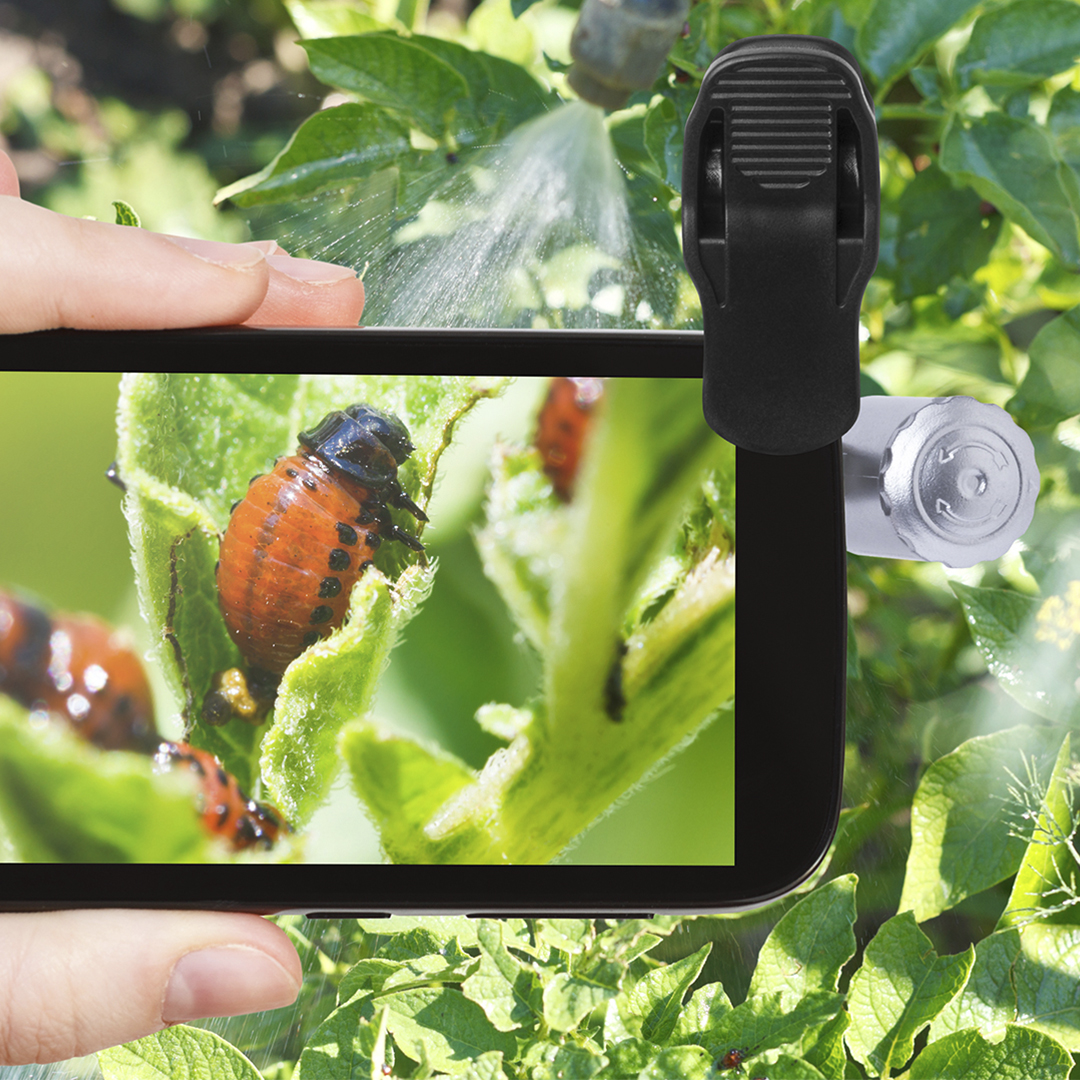 Microscopio personalizado Dicson de 60X con luz ultravioleta