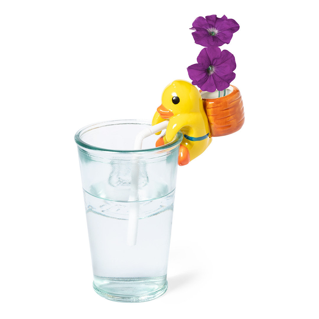 Maceta personalizada Chupon cerámica con diseño pato y gatito - Jardín - Regalo Promocional Personalizado - imagen 4