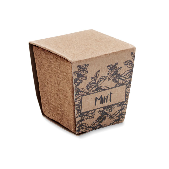 MINT KIT Kit cultivo semillas de menta - Jardín - Regalo Promocional Personalizado - imagen 8