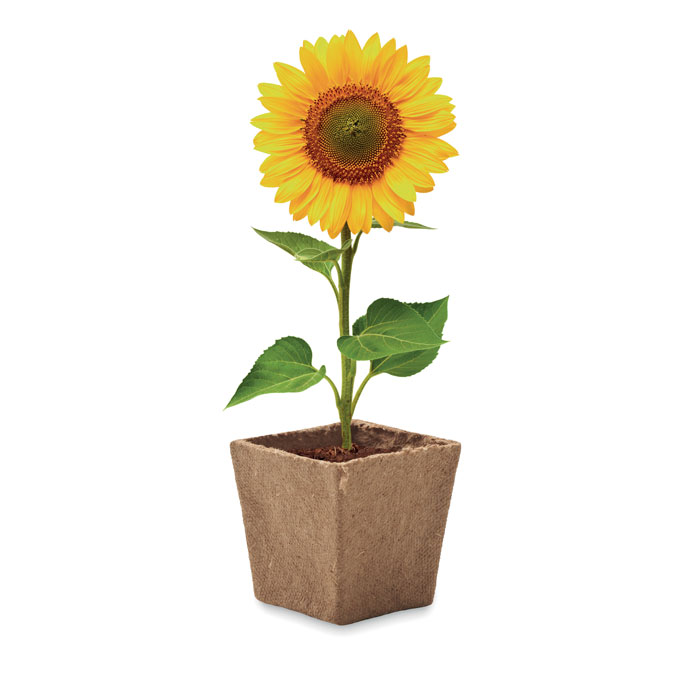 SUNFLOWER KIT Kit de cultivo de girasoles - Jardín - Regalo Promocional Personalizado - imagen 3