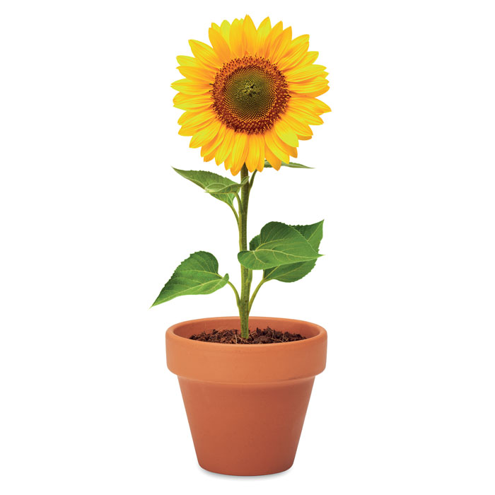 SUNFLOWER Juego de macetas de terracota - Jardín - Regalo Promocional Personalizado - imagen 5