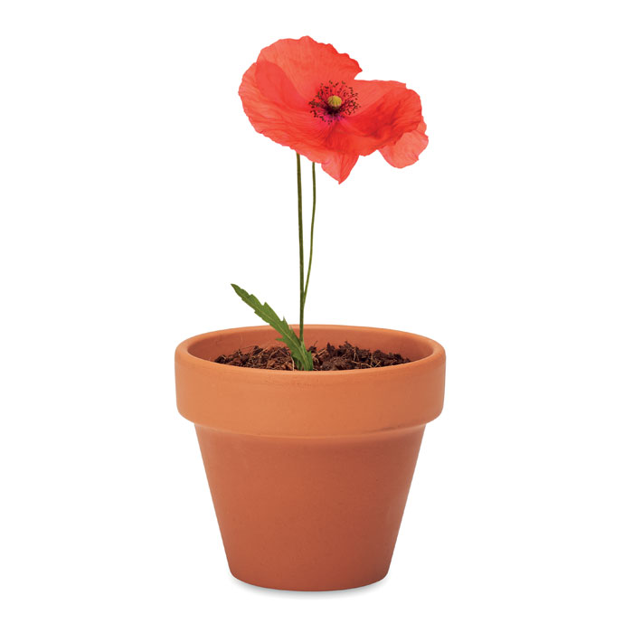 RED POPPY Juego de macetas de terracota - Jardín - Regalo Promocional Personalizado - imagen 4