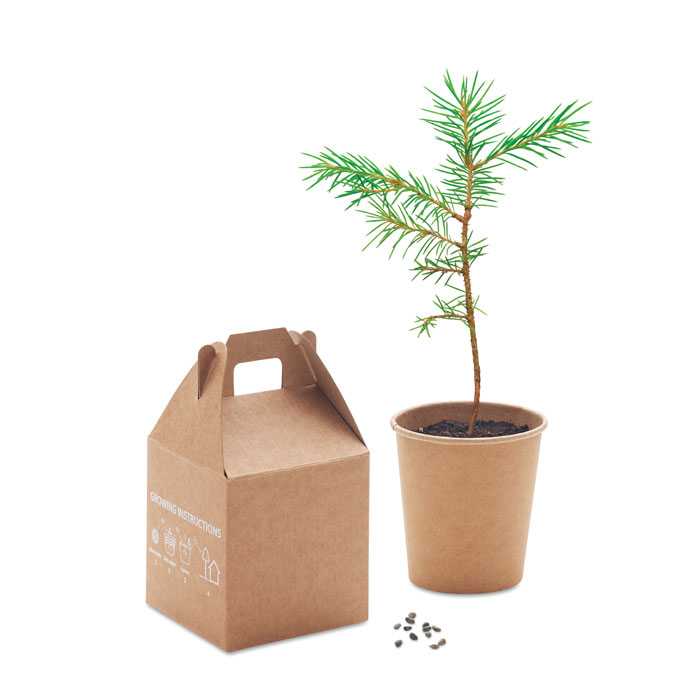 GROWTREE™ Set pino - Jardín - Regalo Promocional Personalizado - imagen 3