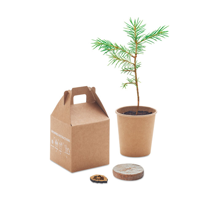 GROWTREE™ Set pino - Jardín - Regalo Promocional Personalizado - imagen 4