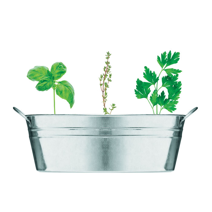 MIX SEEDS Maceta de zinc con 3 semillas - Jardín - Regalo Promocional Personalizado - imagen 2