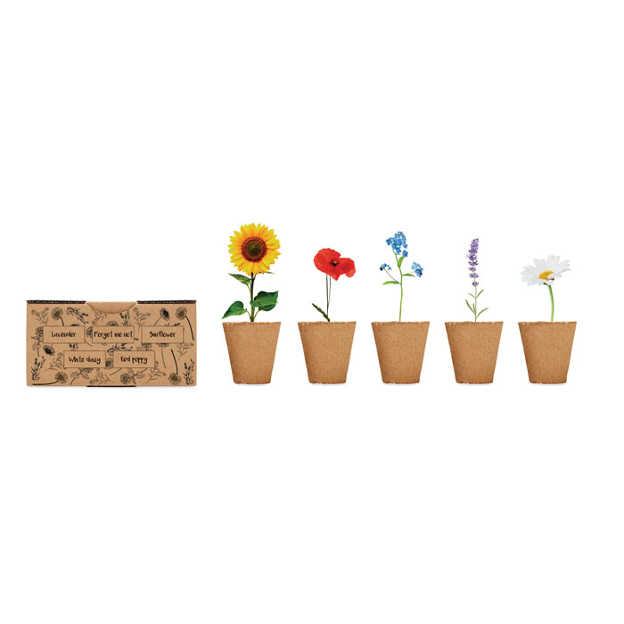 FLOWERS Kit de cultivo de flores - Jardín - Regalo Promocional Personalizado - imagen 4