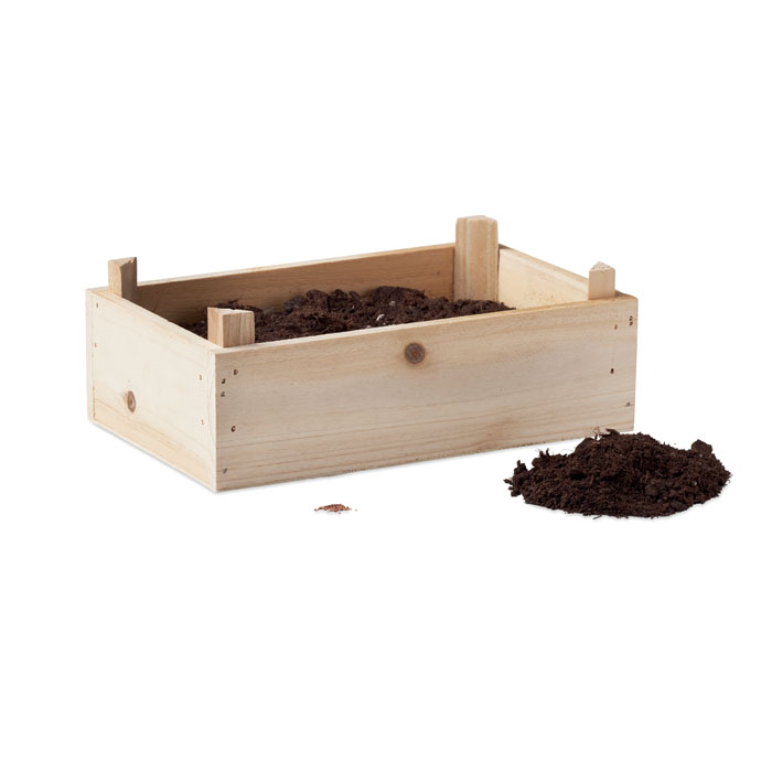 STRAWBERRY Kit de fresas en caja madera - Jardín - Regalo Promocional Personalizado - imagen 3