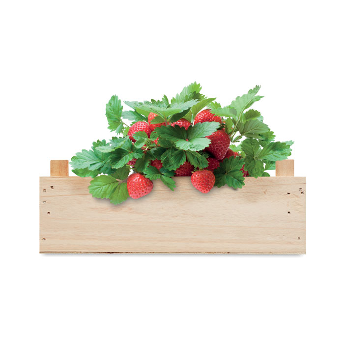STRAWBERRY Kit de fresas en caja madera - Jardín - Regalo Promocional Personalizado - imagen 4