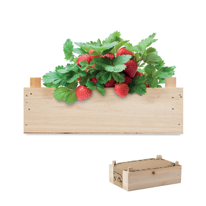 STRAWBERRY Kit de fresas en caja madera