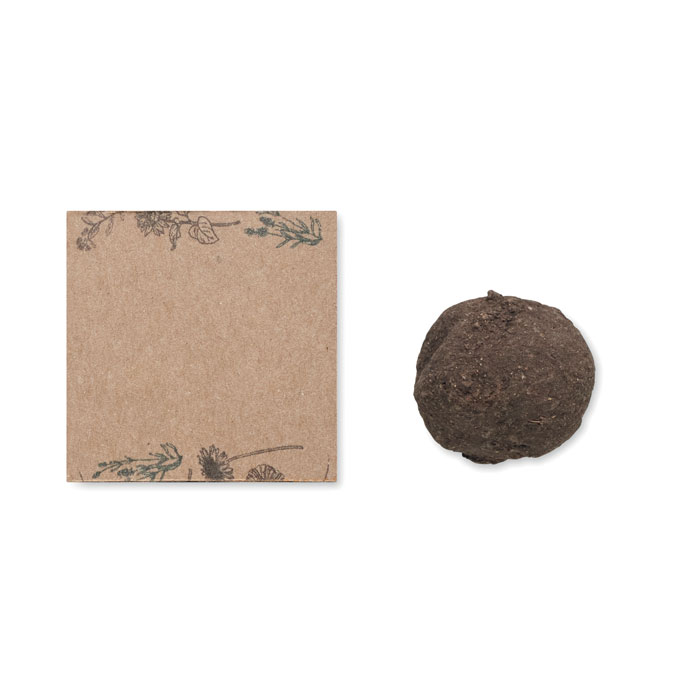 BOMBI Kit de semillas - Jardín - Regalo Promocional Personalizado - vista alternativa