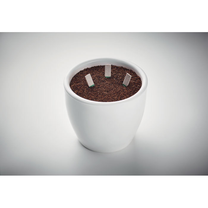 LEYTI Palitos de semillas - Jardín - Regalo Promocional Personalizado - imagen 4