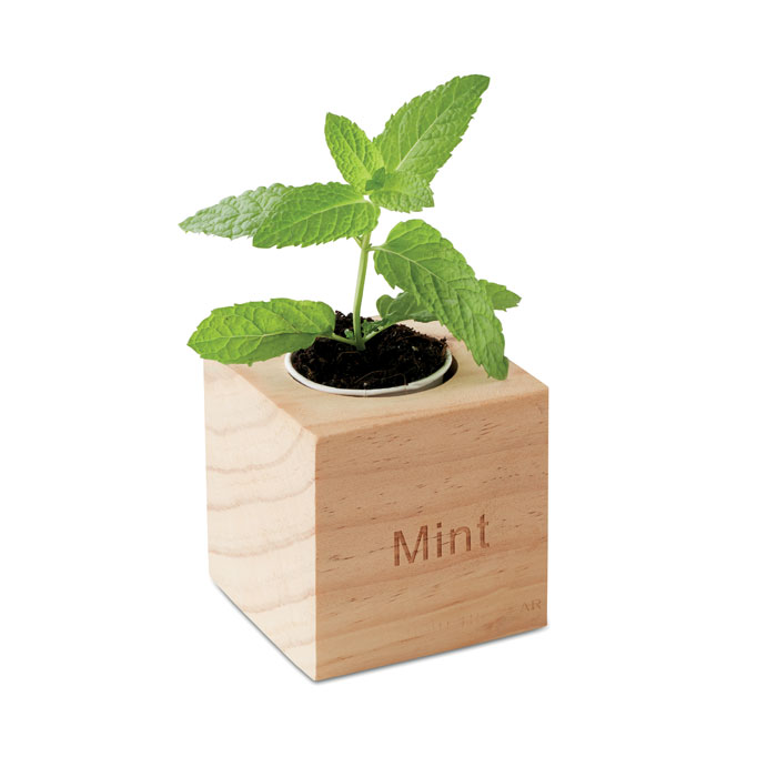 MENTA Maceta con semillas de menta - Jardín - Regalo Promocional Personalizado - imagen 3